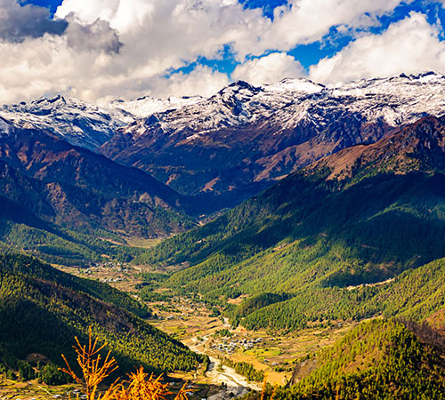 Thimpu-Punakha-Gantey-Paro-Haa Valley--Chele La Pass-Taktsang