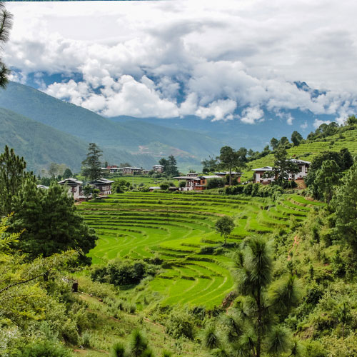 Phobjikha Valley - Nature's Paradise